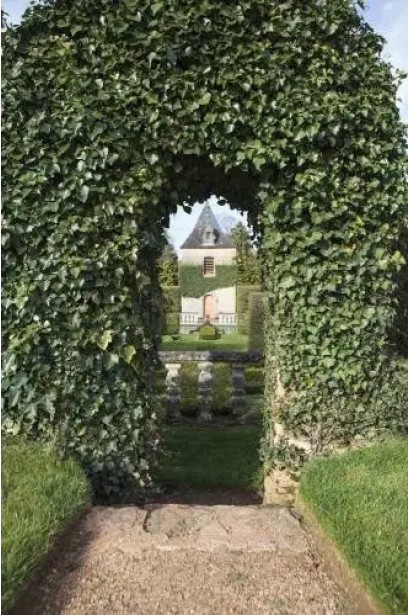 Арка-Плющ звичайний `Парслей Крестед`